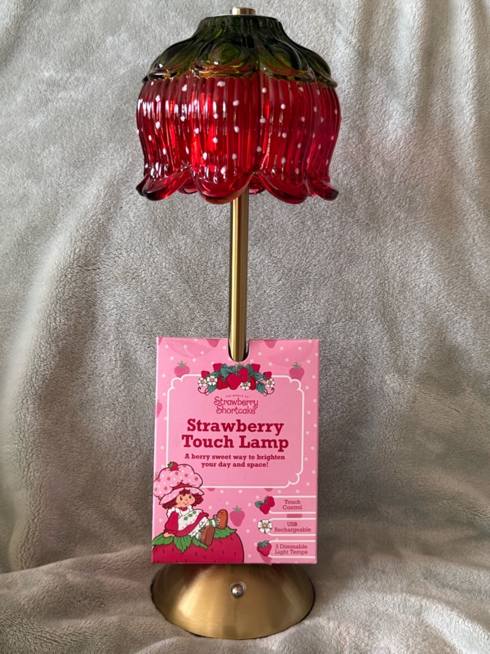 NWT Strawberry Shortcake Touch Lamp USB Rechargeable Dimmable Cute Decor